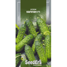 Насіння Огірок Капітан F1 10шт, Seedera