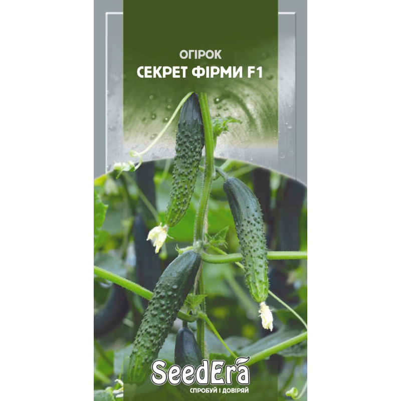 Насіння Огірок Секрет Фірми F1 Seedera
