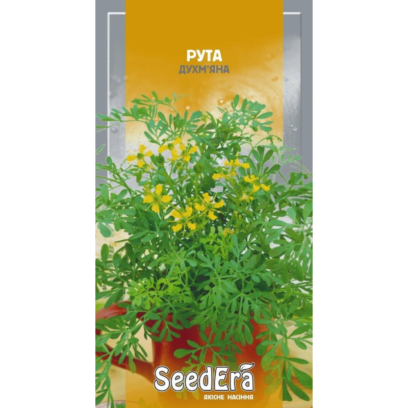 Насіння Рута Запашна, 0.2 м, Seedera