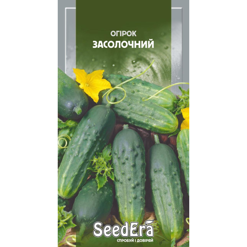 Насіння Оігрок Засолочний 1г, Седера