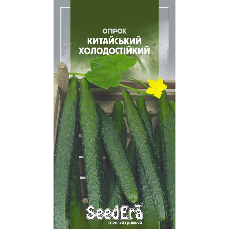 Огірок Китайський Холодостійкий 10шт, Seedera