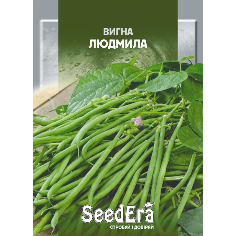 Квасоля Китайська Вигна Людмила 10г, Seedera