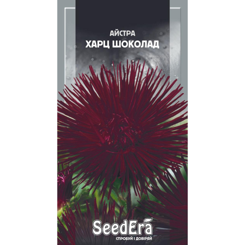 Насіння Айстра високоросла Харц Шоколад, 0,25 г