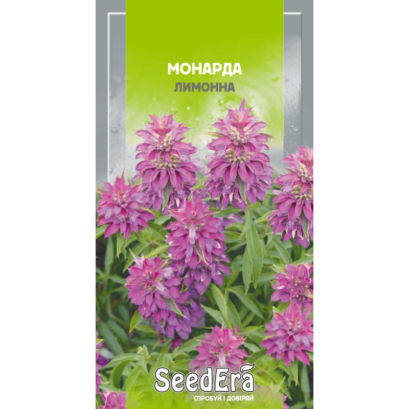 Насіння Монарда Лимонна (Бергамот), 0,1 г, Seedera