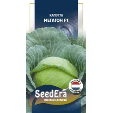 Капуста білоголова Мегатон F1 20 шт, Seedera (Bejo Zaden, Голландія)