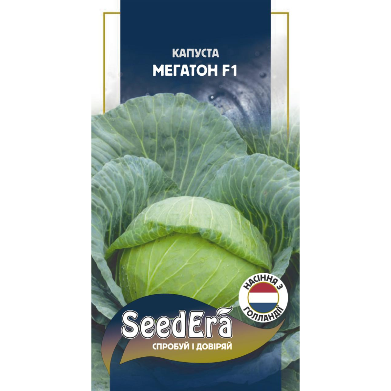 Капуста білоголова Мегатон F1 20 шт, Seedera (Bejo Zaden, Голландія)