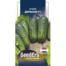 Насіння Огірок Директор F1 10шт, Seedera (Nunhems, BASF, Голландія)