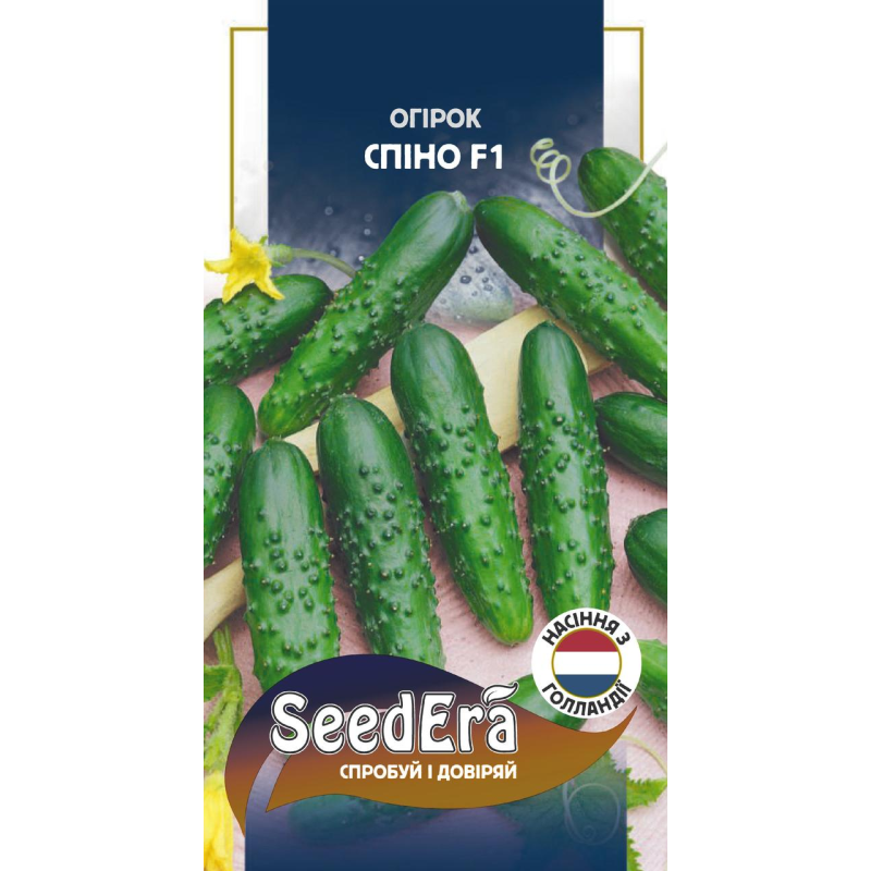 Семена Ультрараній огірок Спіно F1, 10шт, Seedera (Syngenta)
