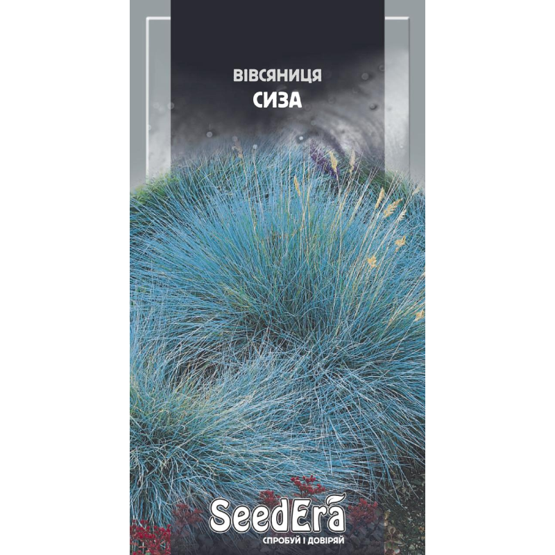 Насіння Вівсяниця Сиза багаторічна, 0,1 г, Seedera