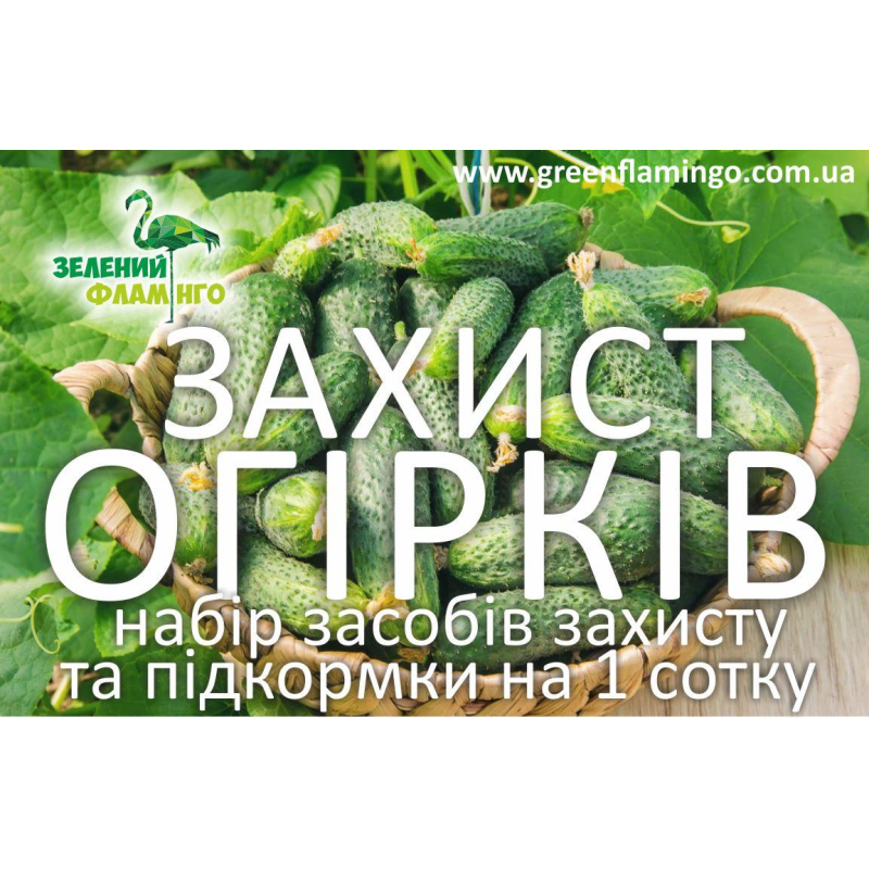 Набір засобів захисту та підживлення огірків на 1 сотку на весь сезон
