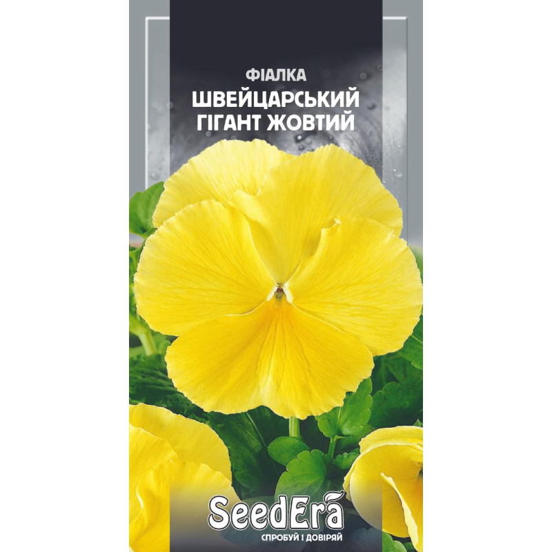Насіння Фіалка Садова Дворічна Швейцарський Гігант Жовтий, 0,1г, Seedera
