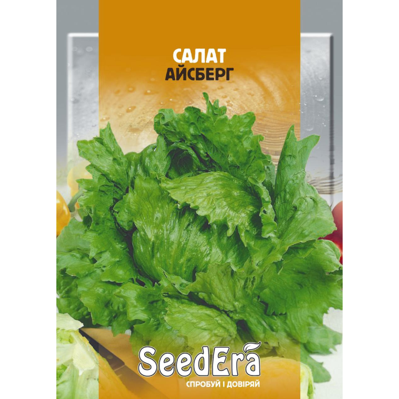 Насіння Салат Айсберг (качанний), 10 г, Seedera