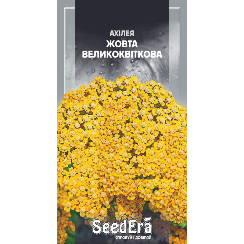 Ахілея Жовта Великоквіткова, 0,1г, Седера
