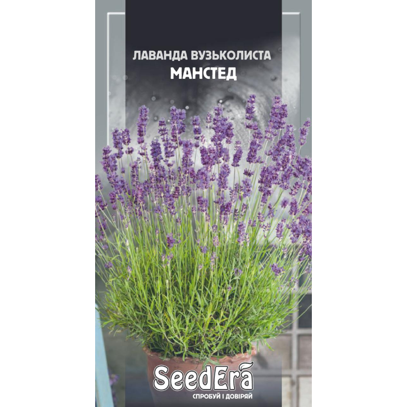 Лаванда Вузьколиста Манстед, 0,1г, Seedera