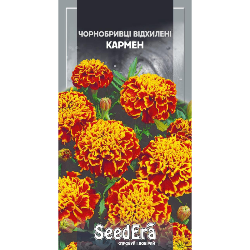 Насіння Чорнобривці Низькоросі Відхилені Кармен, 0,5 г, Седера