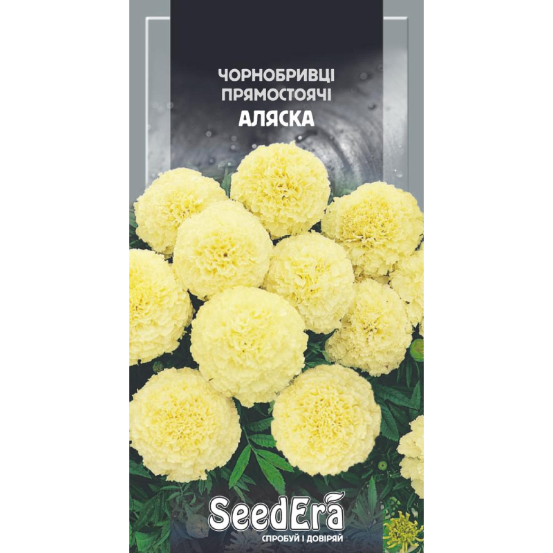Насіння Чорнобривці Прямостоячі Аляска, 0,5 г, Седера