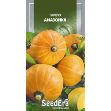 Насіння гарбуз Амазонка, 10 шт, Seedera
