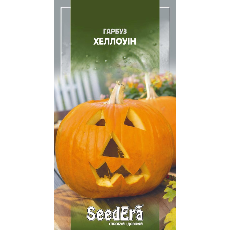 Насіння Гарбуз Хеллоуін, 2 г, Седера