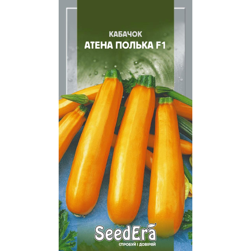 Насіння Кабачок Атена Полька F1 10 шт, Seedera