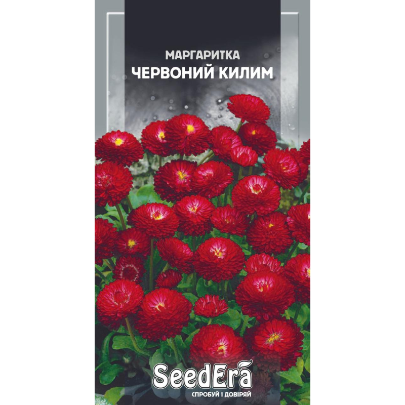 Маргаритка Червоний Килим 0,1 г, Seedera