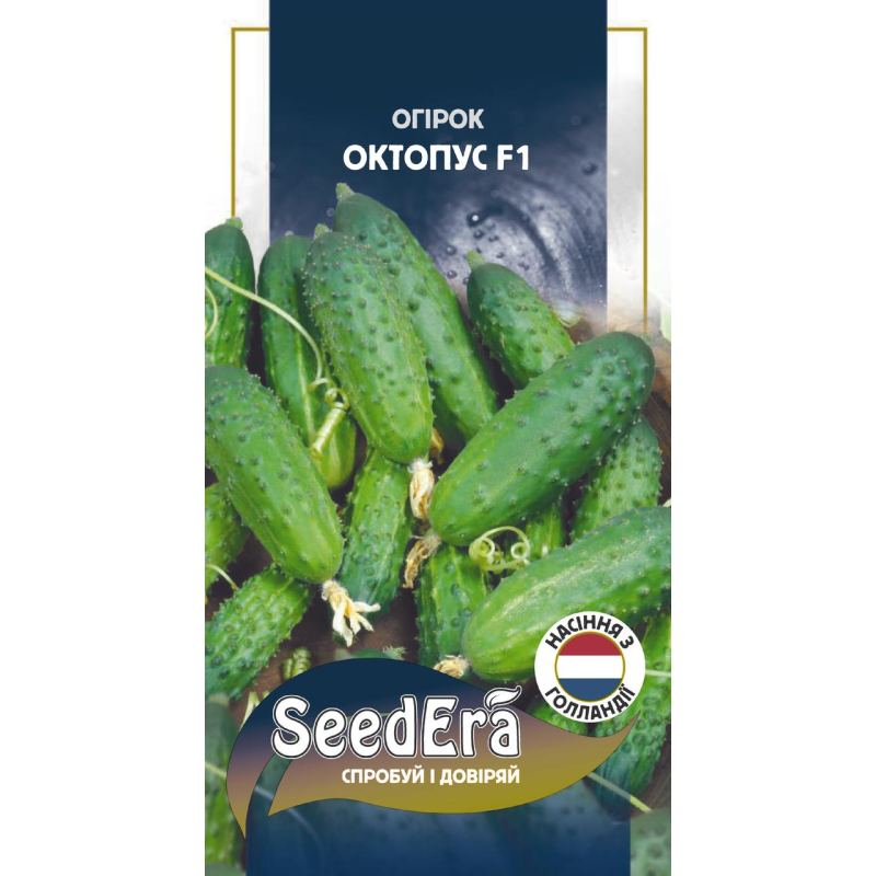Насіння Огірок Октопус F1, 20шт, Seedera