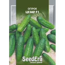 Огірок Цезар F1, 5 г, Seedera