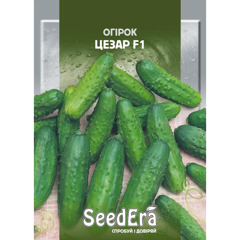 Огірок Цезар F1, 5 г, Seedera
