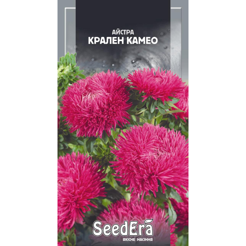 Насіння Айстра Високоросла Крален Камео, 0,25 г