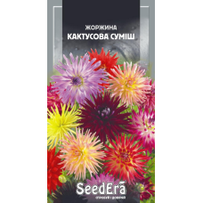 Насіння Жоржина Мінлива Кактусова Махрова Суміш