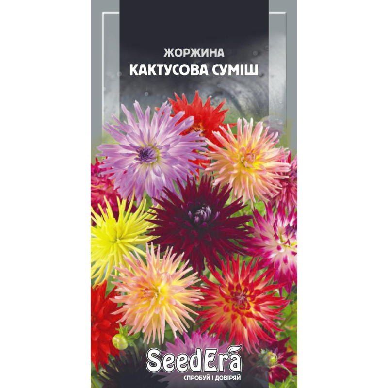 Насіння Жоржина Мінлива Кактусова Махрова Суміш