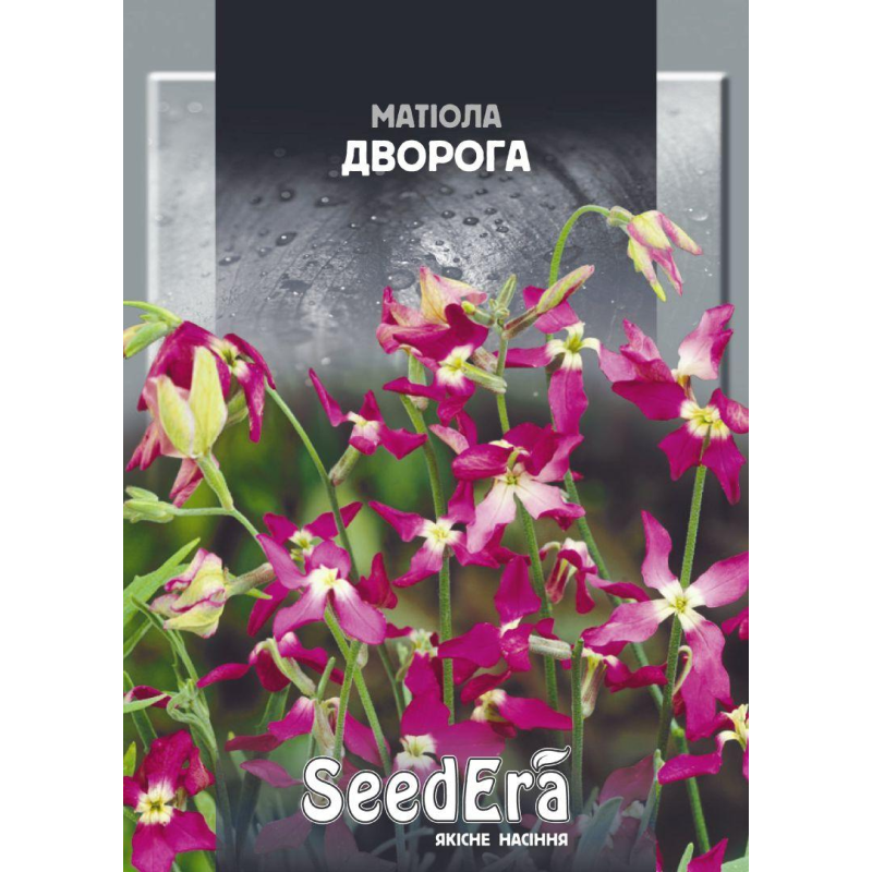 Матіола Дворога 5г, Seedera