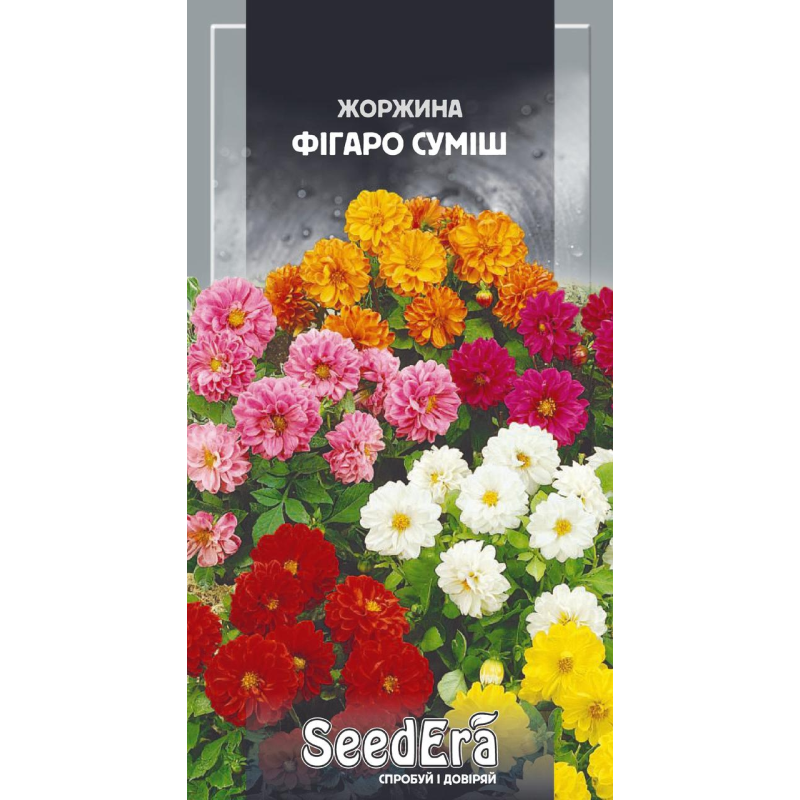 Насіння Жоржина Мінлива Фігаро Суміш, 0,5г, Seedera