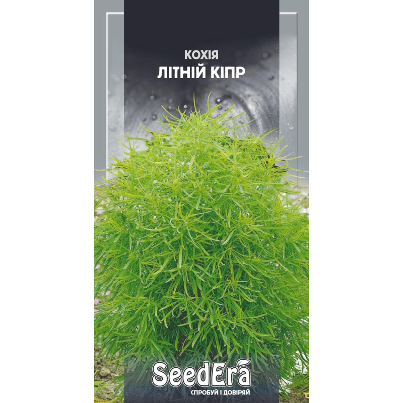 Кохія Літній Кіпр, 0,5 г, Seedera