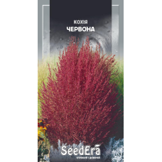 Насіння Кохія Червона, 0,5 г, Seedera