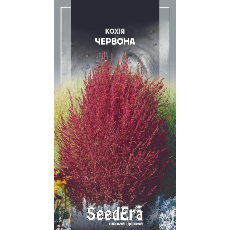 Насіння Кохія Червона, 0,5 г, Seedera