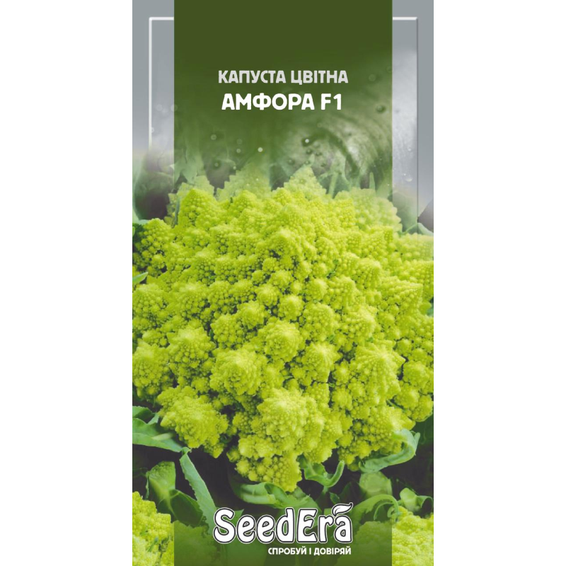 Капуста Цвітна Амфора 30 шт, Seedera