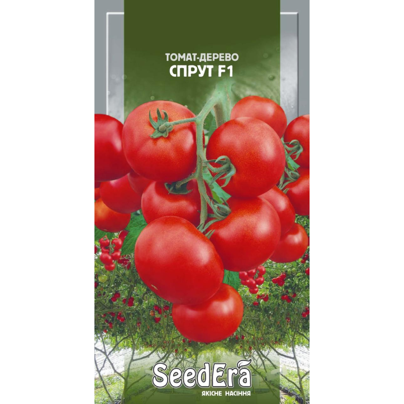 Томат-Дерево Спрут F1, 10 шт Seedera