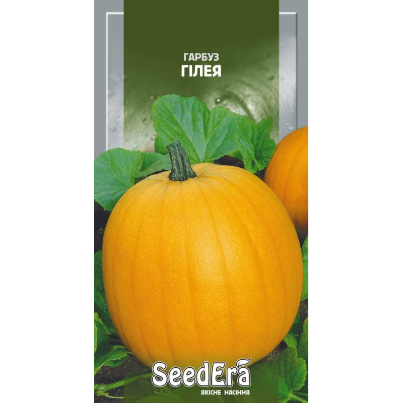 Насіння гарбуз Гілея, 3 г, Seedera