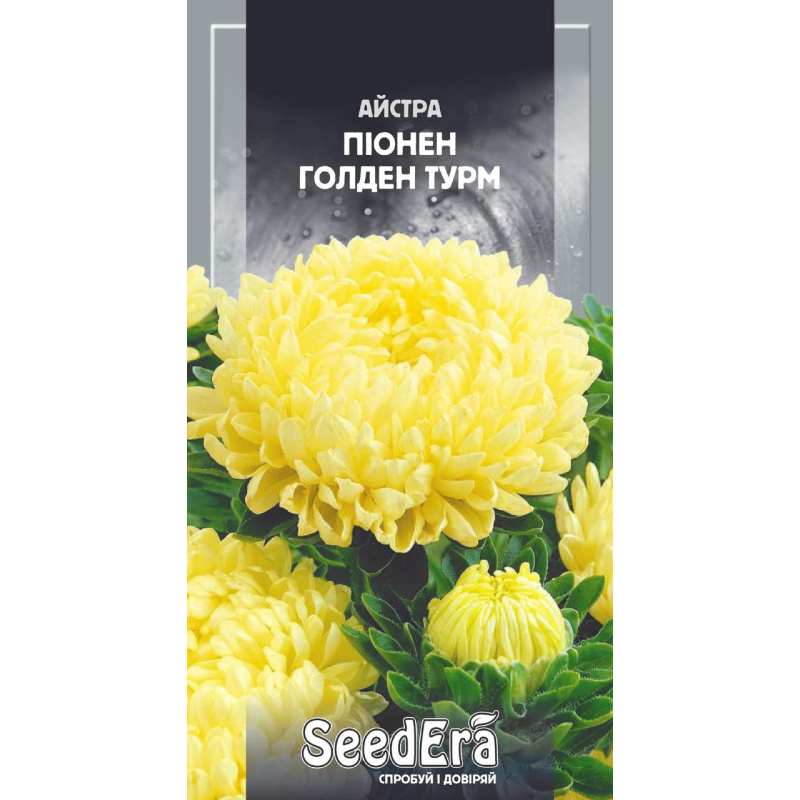 Айстра Високоросла Піонен Голден Турм, 0,25 г