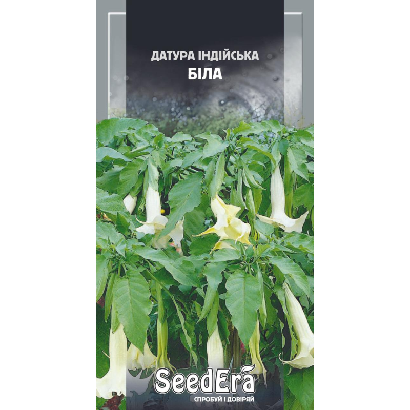 Датура Індійська Біла, 0,5 г, Seedera