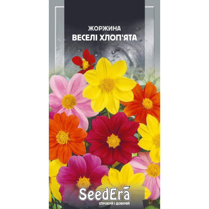 Жоржина Мінлива Веселі Хлоп’ята 0,5г, Seedera