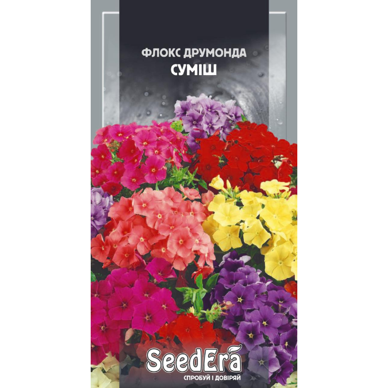 Насіння Флокс Друмонда Суміш 0,2г, Seedera
