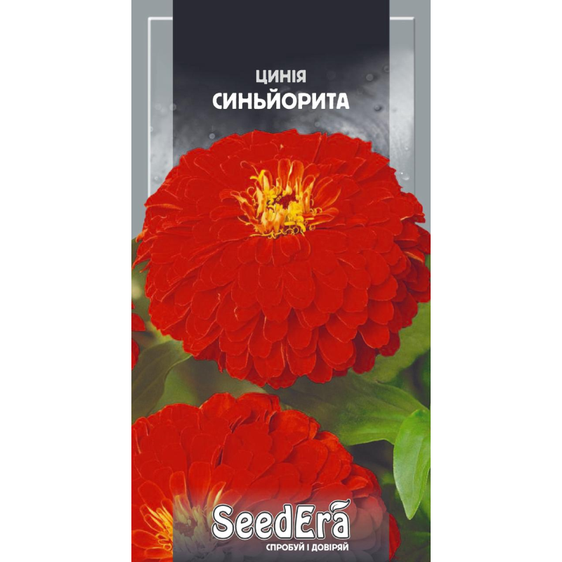 Цинія Високоросла Елегантна Синьйорита, 0,5г, Seedera