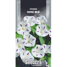 Іпомея Мілкі Вей 1 г, Seedera