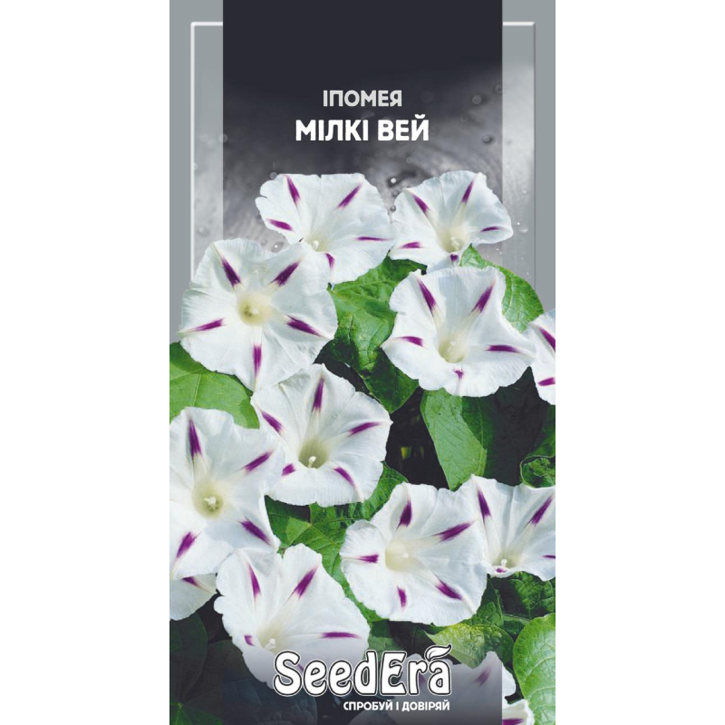 Іпомея Мілкі Вей 1 г, Seedera