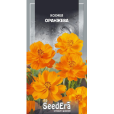 Насіння Космея Оранжева, 0,5г, Seedera