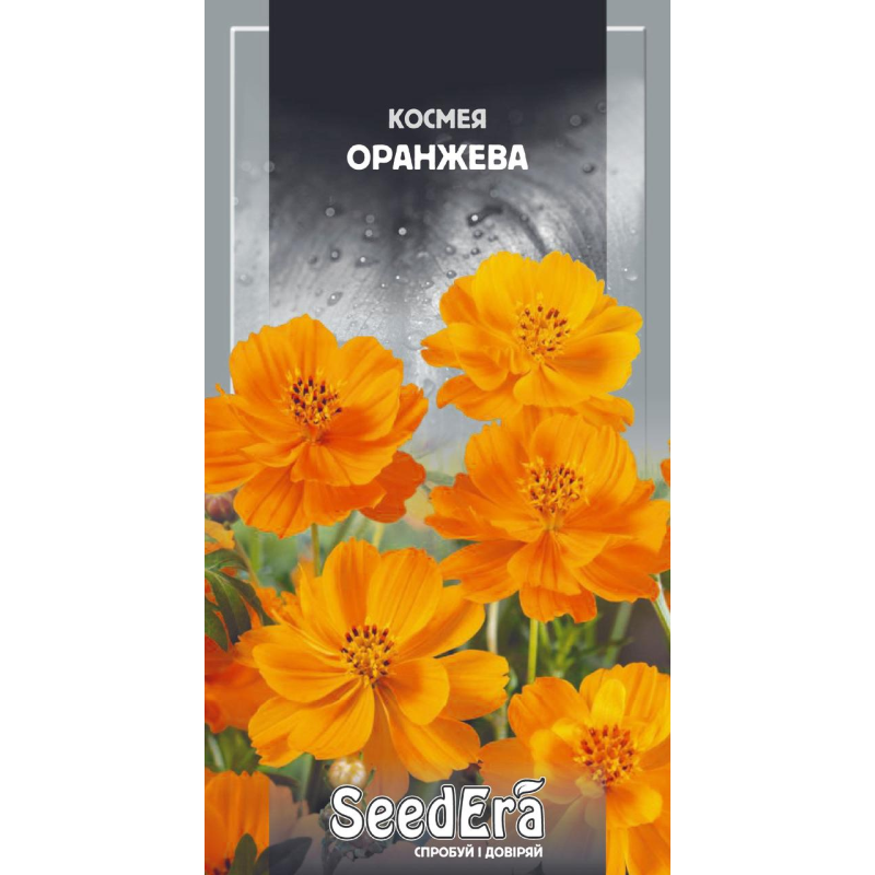 Насіння Космея Оранжева, 0,5г, Seedera