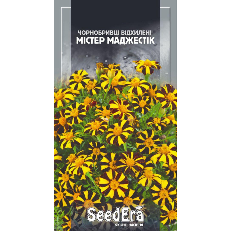 Насіння Бахатци Мистер Маджестик 0,5г, Седера