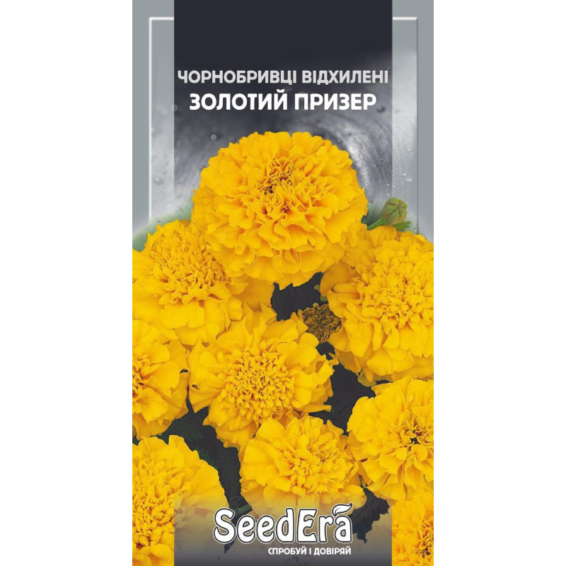 Насіння Чорнобривці Низькорослі Відхилені Золотий Призер, 0,5 г, Seedera