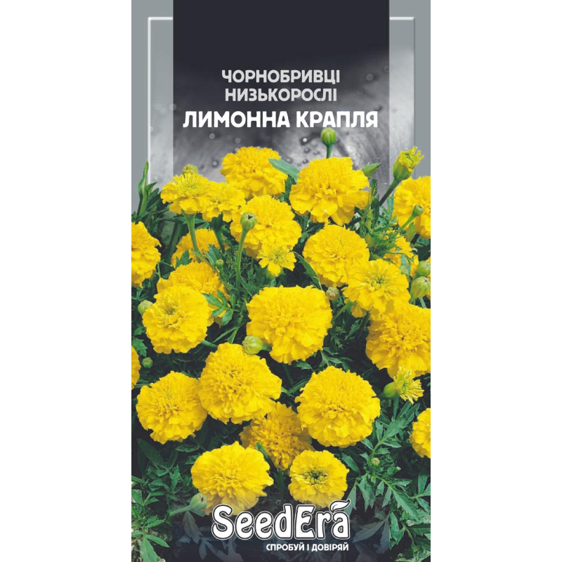 Чорнобривці Низькорослі Відхилені Лимонна Крапля, 0,5 г, Seedera